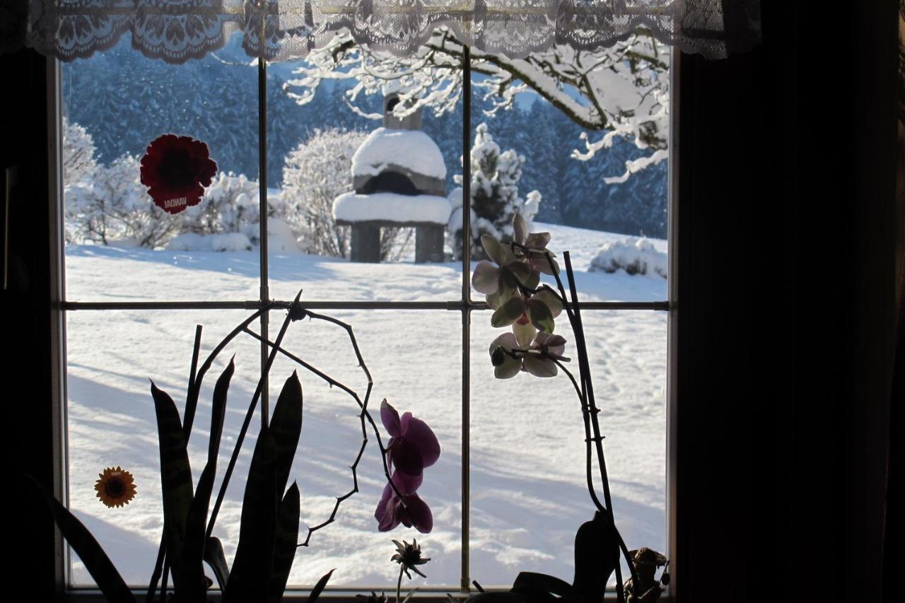 Appartements Wiesenheim Rasun di Sopra Luaran gambar