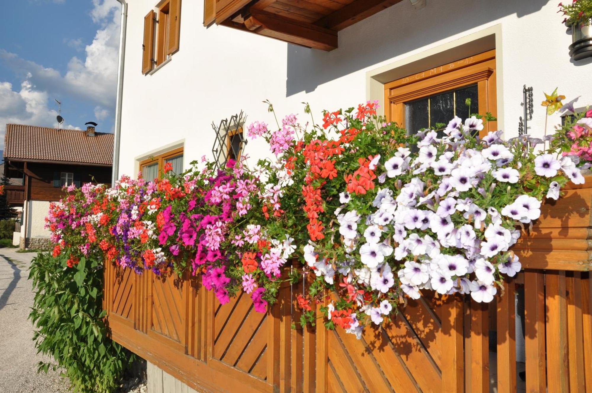 Appartements Wiesenheim Rasun di Sopra Luaran gambar