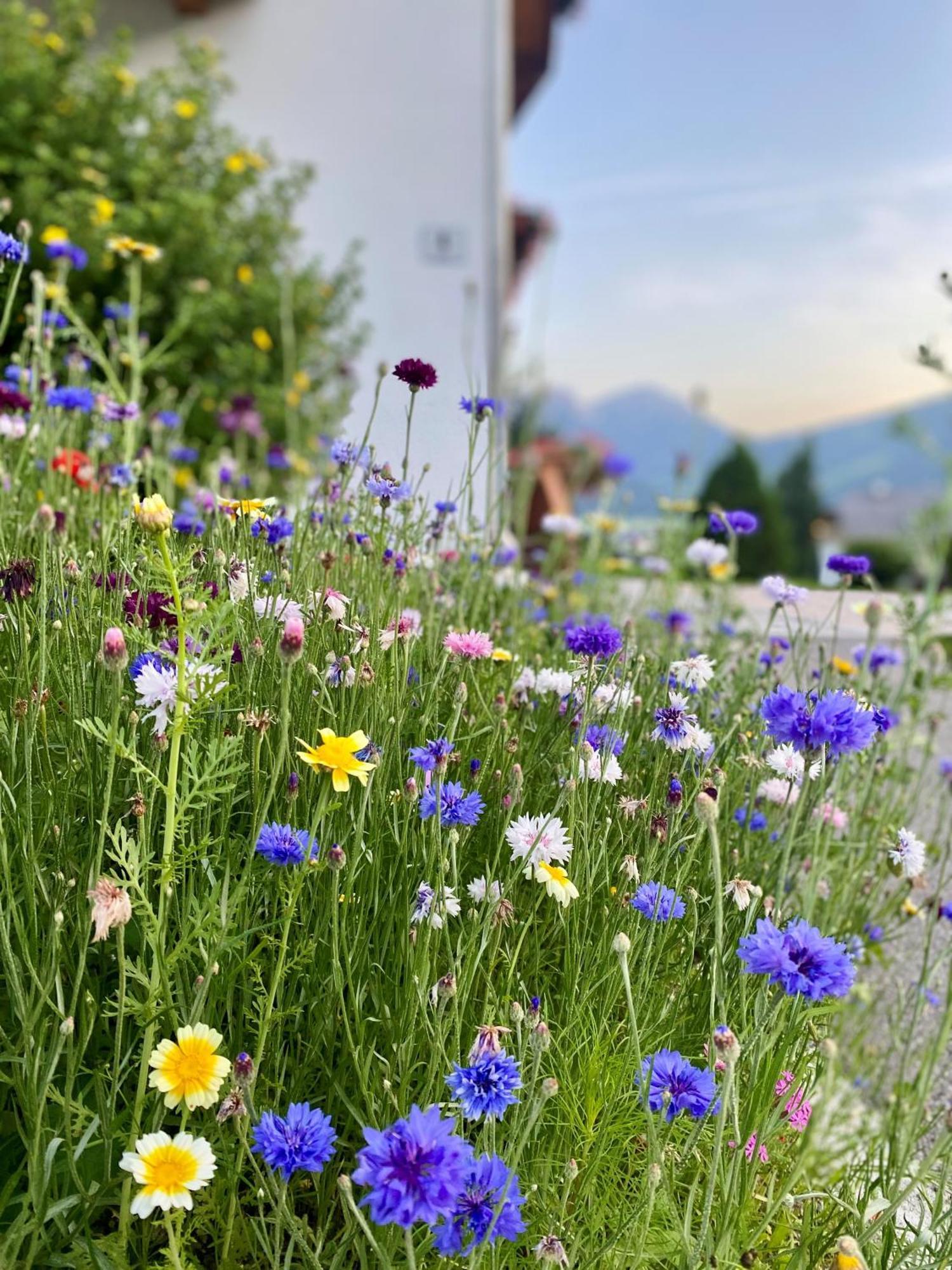 Appartements Wiesenheim Rasun di Sopra Luaran gambar